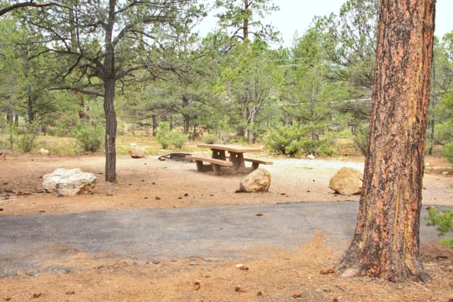 Picnic table, fire pit, and parking spot, Mather Campground