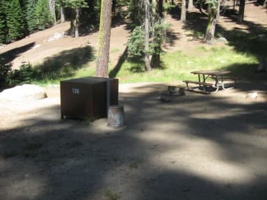 site 136, sunny