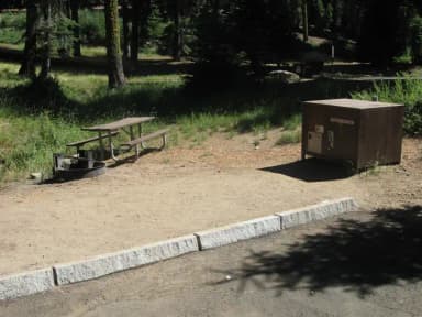 site 139, partial shade