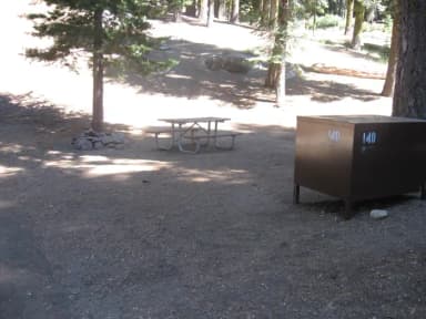site 140, partial shade