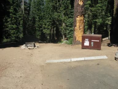 site 142, partial shade