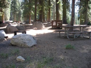 site 143, partial shade, rocky site