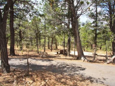 Picnic table, fire pit, and parking spot, Mather Campground