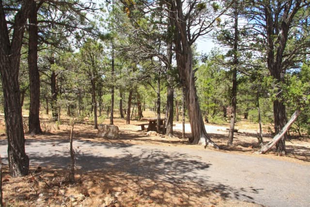 Picnic table, fire pit, and parking spot, Mather Campground