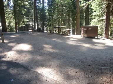 site 144, partial shade