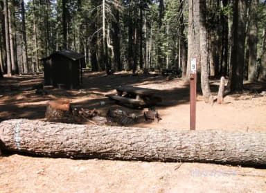 Site A009 at Chilkoot