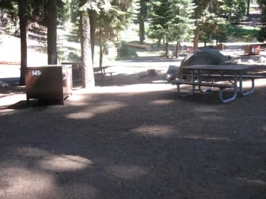site 145, partial shade