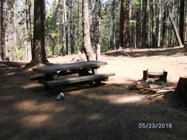 Site A009 at Chilkoot