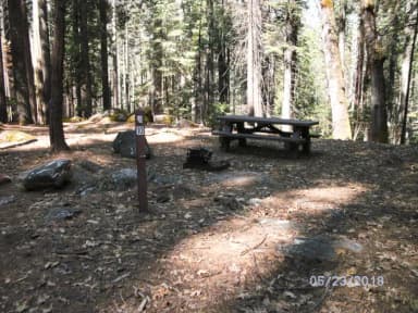 Site A010 at Chilkoot