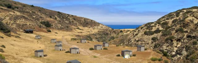 Eight foot tall wind shelters on a dry, grassy terrace overlooking the ocean