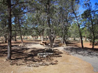 Picnic table, fire pit, and parking spot, Mather Campground