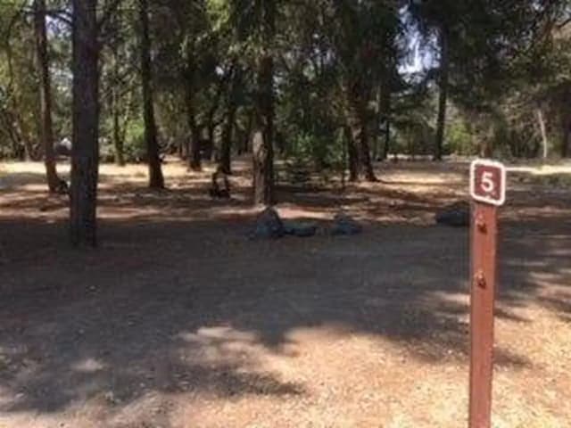 Site B005 at Bushay Recreation Area