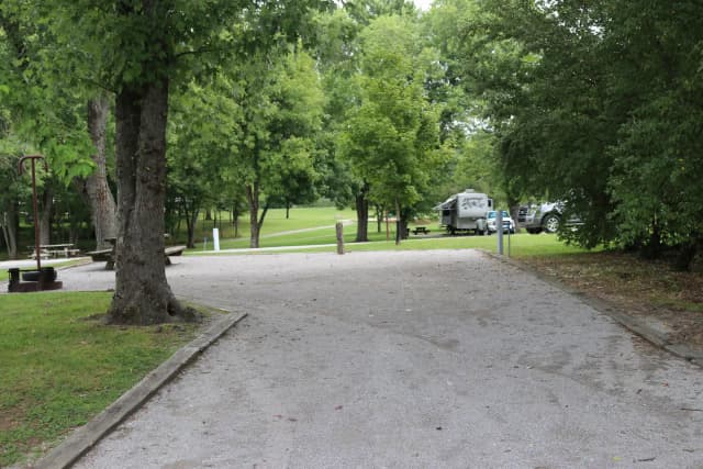 Campsite 11 Defeated Creek Campground