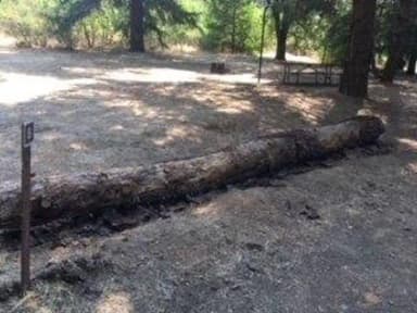 Site B008 at Bushay Recreation Area