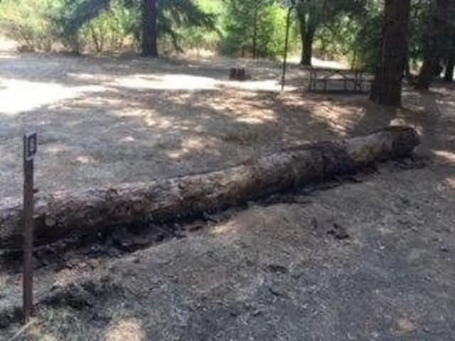 Site B008 at Bushay Recreation Area