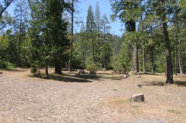 Acorn Group Camp