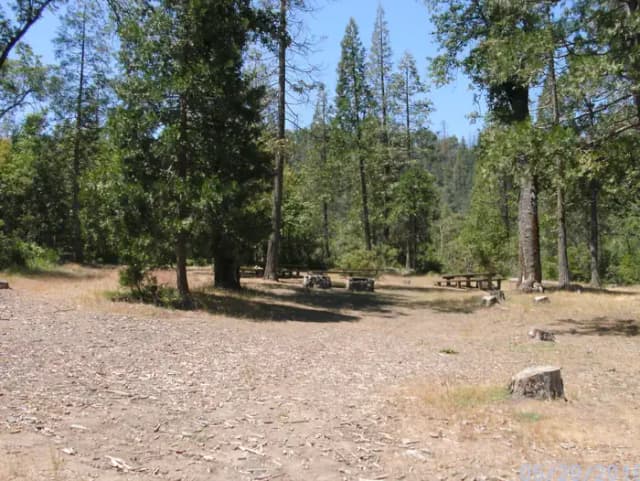 Acorn Group Camp