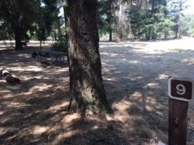 Site B009 at Bushay Recreation Area