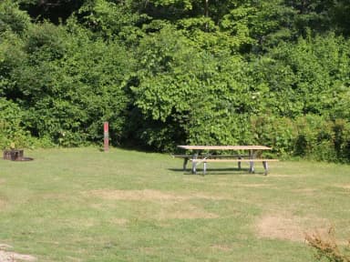Winhall Brook N17