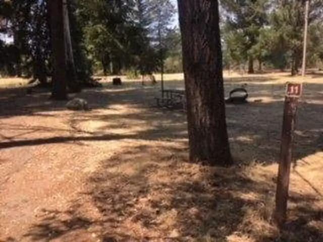 Site B011 at Bushay Recreation Area