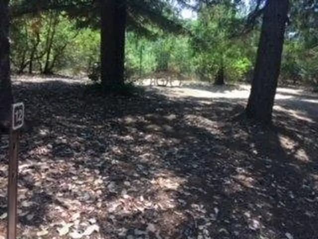 Site B012 at Bushay Recreation Area