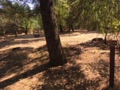 Site B014 at Bushay Recreation Area