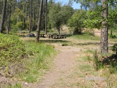 Lagoon Group Camp