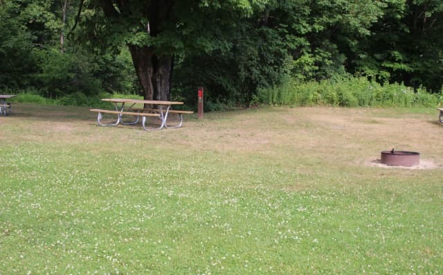 Winhall Brook N17