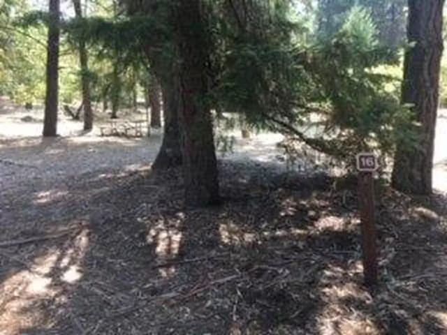 Site B016 at Bushay Recreation Area