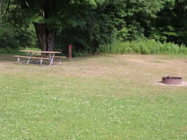 Winhall Brook N17