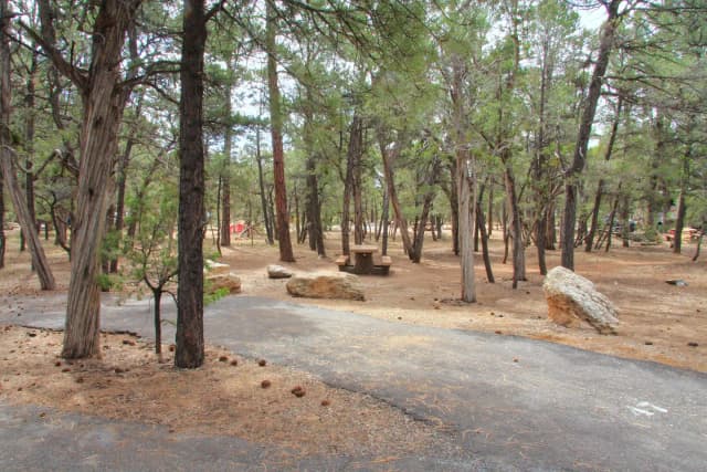 Picnic table and parking spot, Mather Campground