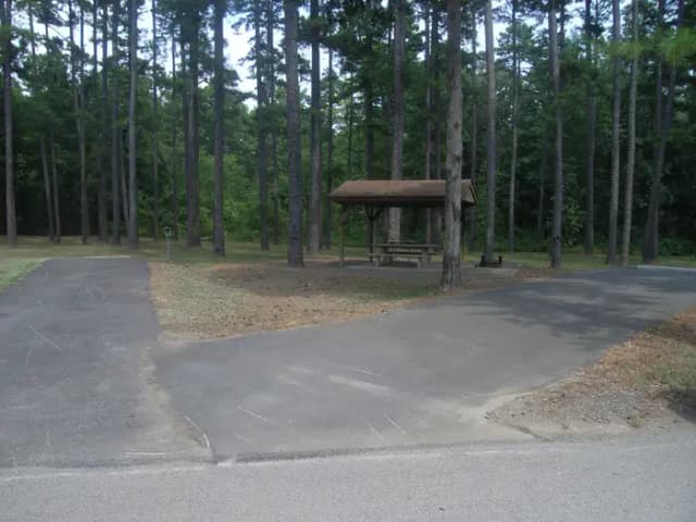 Carter Cove Site #1 View from Road