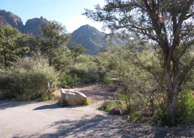 Campsite #50