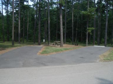 Carter Cove Site #2 View From Roadway