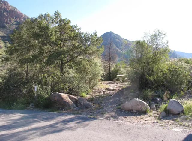 Campsite #53