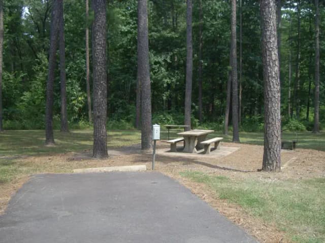 Carter Cove Site #2 Table Area