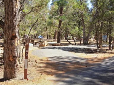 Picnic table, fire pit, and parking spot, Mather Campground