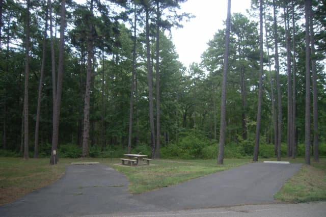 Carter Cove Site #3 View From Roadway