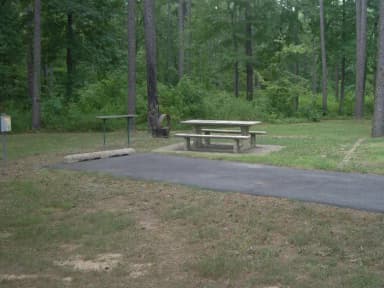 Carter Cove Site #3 Table Area