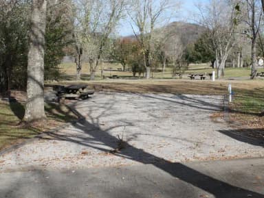 Campsite 13 Defeated Creek Campground