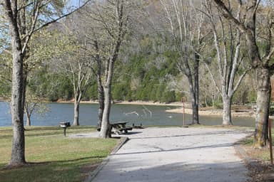 Campsite 12 Defeated Creek Campground