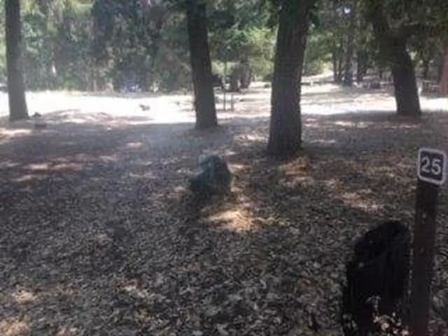 Site B025 at Bushay Recreation Area