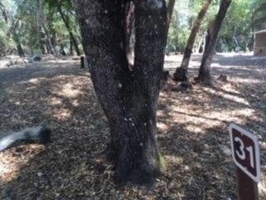 Site B031 at Bushay Recreation Area