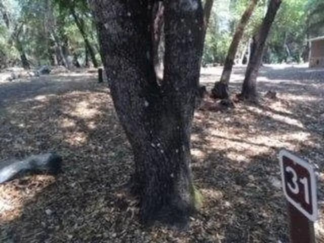 Site B031 at Bushay Recreation Area