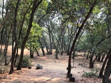 An image the agency filed against 3 campsites at Bushay Recreation Area