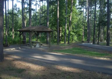 Carter Cove Site #4