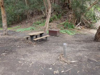 Campsite eucalyptus forested area with picnic table, food storage box, and campsite number.