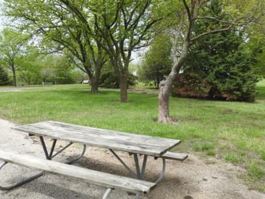 Site 25 in Turkey Point Campground