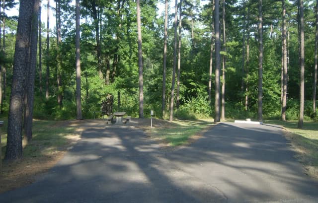 Carter Cove Site #5 View From Roadway