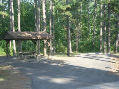 Carter Cove Site #6 View From Roadway
